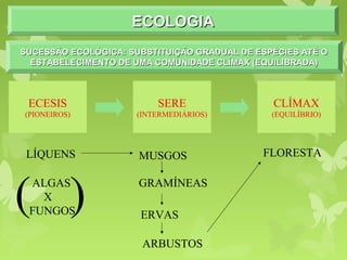 ECOLOGIAECOLOGIAECOLOGIAECOLOGIA
SUCESSÃO ECOLÓGICA: SUBSTITUIÇÃO GRADUAL DE ESPÉCIES ATÉ OSUCESSÃO ECOLÓGICA: SUBSTITUIÇÃO GRADUAL DE ESPÉCIES ATÉ O
ESTABELECIMENTO DE UMA COMUNIDADE CLÍMAX (EQUILIBRADA)ESTABELECIMENTO DE UMA COMUNIDADE CLÍMAX (EQUILIBRADA)
SUCESSÃO ECOLÓGICA: SUBSTITUIÇÃO GRADUAL DE ESPÉCIES ATÉ OSUCESSÃO ECOLÓGICA: SUBSTITUIÇÃO GRADUAL DE ESPÉCIES ATÉ O
ESTABELECIMENTO DE UMA COMUNIDADE CLÍMAX (EQUILIBRADA)ESTABELECIMENTO DE UMA COMUNIDADE CLÍMAX (EQUILIBRADA)
ECESIS
(PIONEIROS)
SERE
(INTERMEDIÁRIOS)
CLÍMAX
(EQUILÍBRIO)
LÍQUENS MUSGOS
GRAMÍNEAS
ERVAS
ARBUSTOS
FLORESTA
ALGAS
X
FUNGOS
( )
 