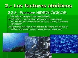 2.- Los factores abióticos2.- Los factores abióticos
2.2.3.- Factores HIDROLÓGICOS2.2.3.- Factores HIDROLÓGICOS
(Se refieren siempre a medios acuáticos)(Se refieren siempre a medios acuáticos)
OXIGENACIÓN: La cantidad de oxígeno disuelto en el agua esOXIGENACIÓN: La cantidad de oxígeno disuelto en el agua es
determinante para la presencia de seres vivos, ya que lo necesitandeterminante para la presencia de seres vivos, ya que lo necesitan
para respirar.para respirar.
Las aguas frías presentan mayor cantidad de oxígeno disuelto que lasLas aguas frías presentan mayor cantidad de oxígeno disuelto que las
cálidas (los grandes bancos de pesca están en aguas frías)cálidas (los grandes bancos de pesca están en aguas frías)
 