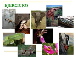 EJERCICIOS
 