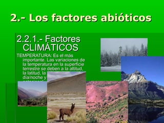 2.- Los factores abióticos2.- Los factores abióticos
2.2.1.- Factores2.2.1.- Factores
CLIMÁTICOSCLIMÁTICOS
TEMPERATURA: Es el másTEMPERATURA: Es el más
importante. Las variaciones deimportante. Las variaciones de
la temperatura en la superficiela temperatura en la superficie
terrestre se deben a la altitud,terrestre se deben a la altitud,
la latitud, la diferenciala latitud, la diferencia
día/noche y la diferenciadía/noche y la diferencia
estacional.estacional.
 