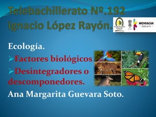 Ecología.
Factores biológicos
Desintegradores o
descomponedores.
Ana Margarita Guevara Soto.
 