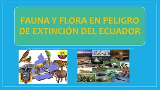 FAUNA Y FLORA EN PELIGRO
DE EXTINCIÓN DEL ECUADOR
 