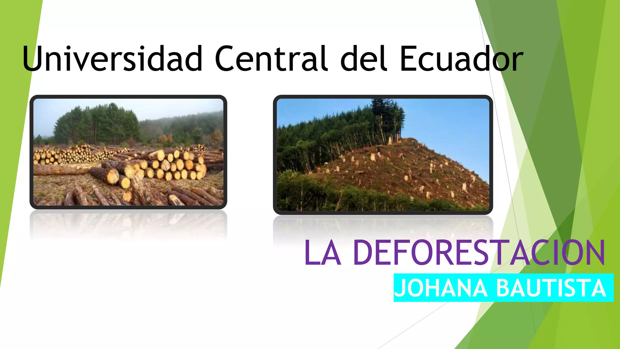 Universidad Central del Ecuador
LA DEFORESTACION
JOHANA BAUTISTA