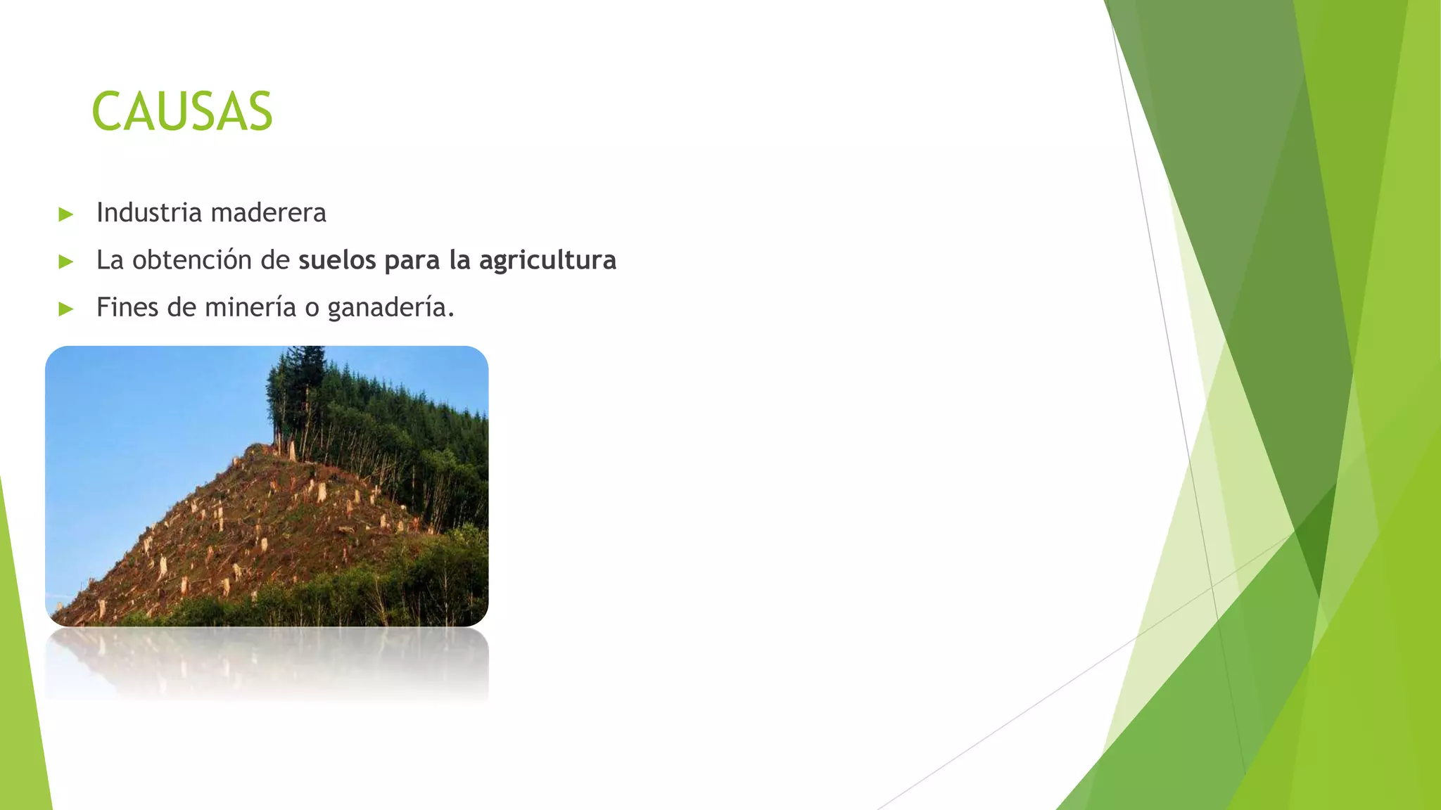 CAUSAS
► Industria maderera
► La obtención de suelos para la agricultura
► Fines de minería o ganadería.