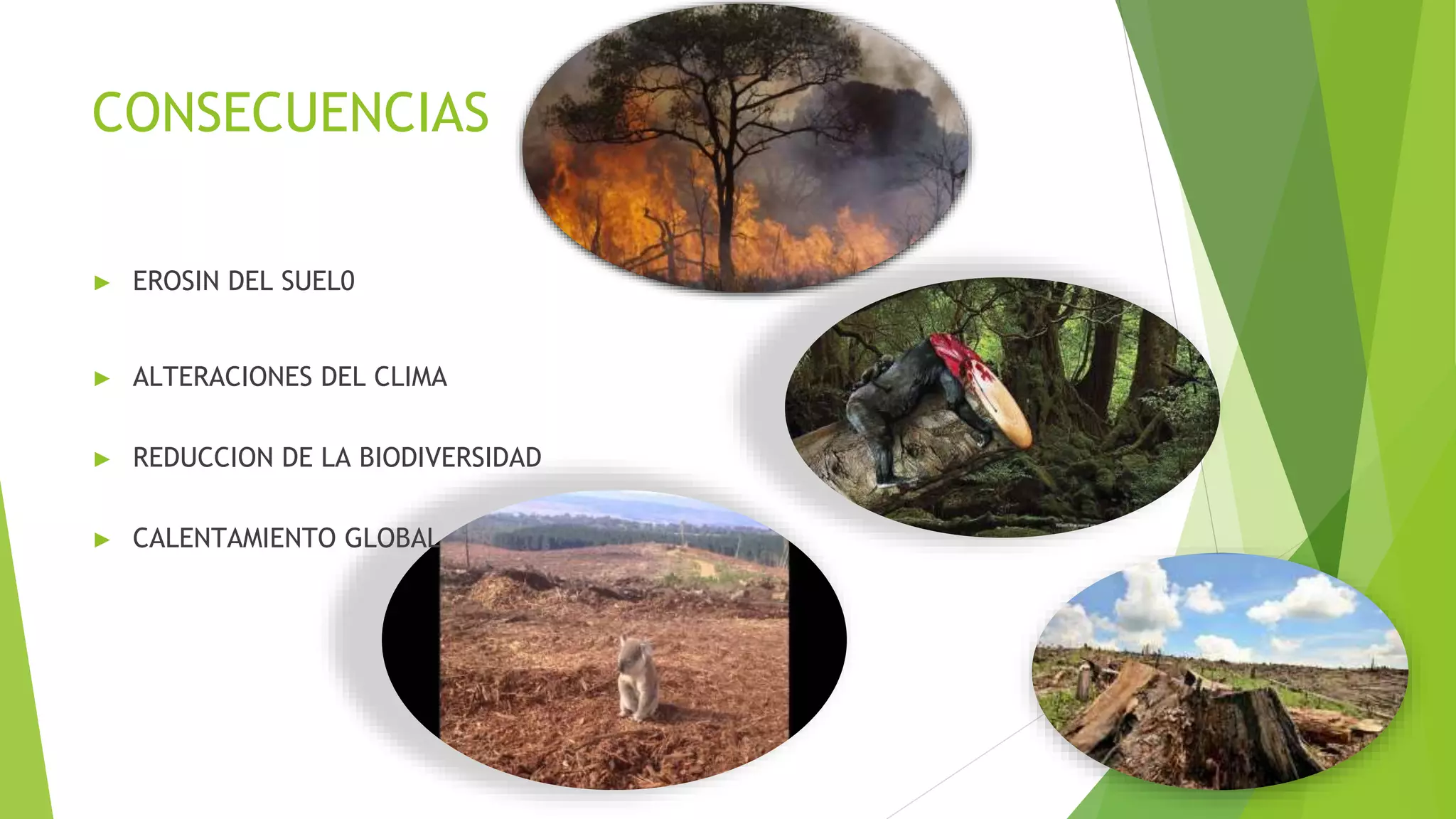 CONSECUENCIAS
► EROSIN DEL SUEL0
► ALTERACIONES DEL CLIMA
► REDUCCION DE LA BIODIVERSIDAD
► CALENTAMIENTO GLOBAL