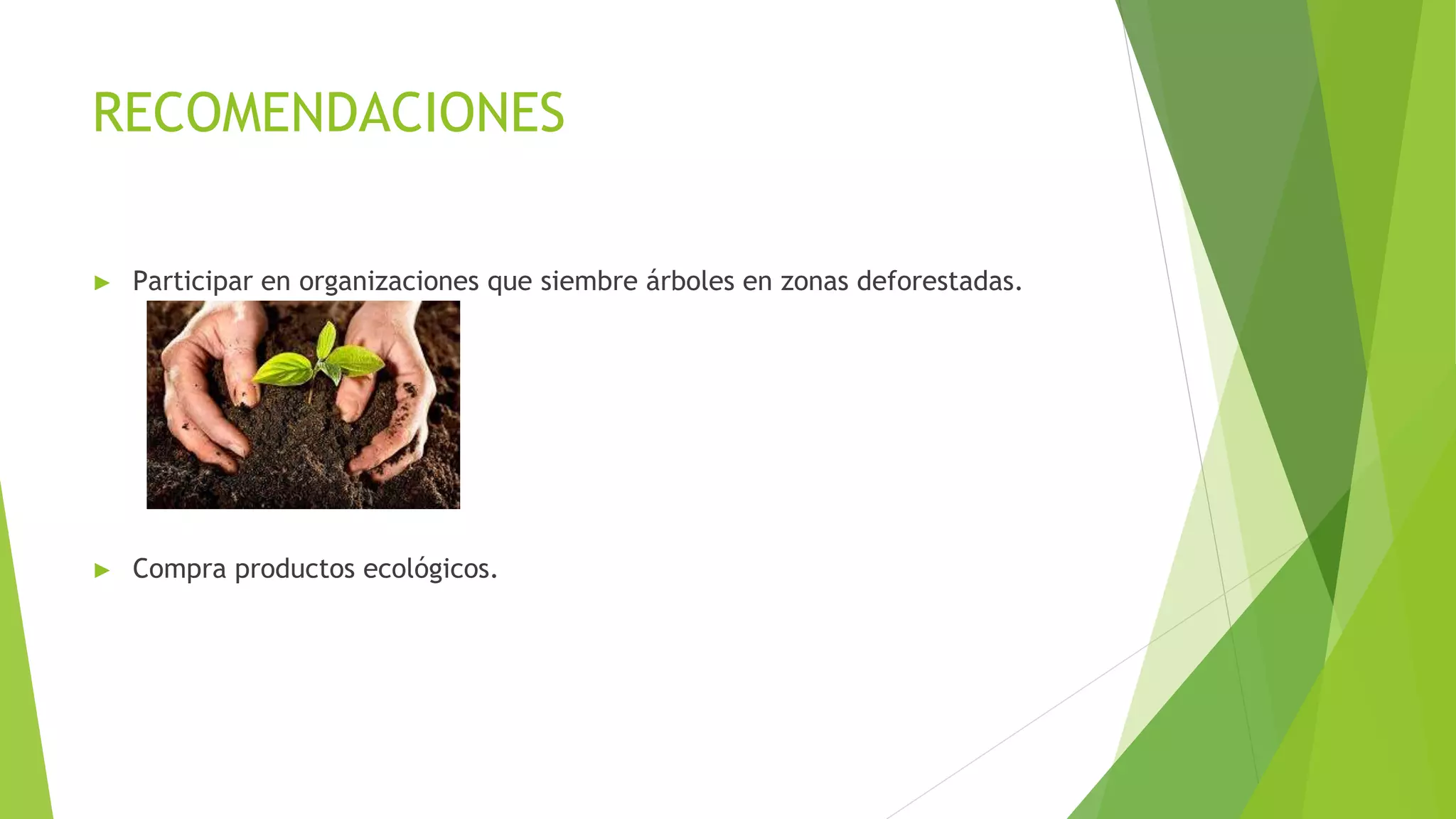 RECOMENDACIONES
► Participar en organizaciones que siembre árboles en zonas deforestadas.
► Compra productos ecológicos.