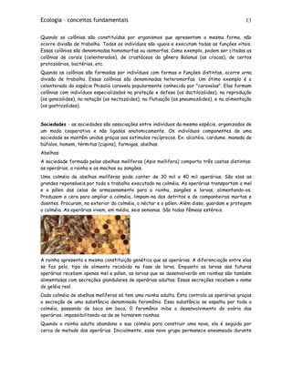 Ecologia – conceitos fundamentais 13
Quando as colônias são constituídas por organismos que apresentam a mesma forma, não
ocorre divisão de trabalho. Todos os indivíduos são iguais e executam todas as funções vitais.
Essas colônias são denominadas homomorfas ou isomorfas. Como exemplo, podem ser citadas as
colônias de corais (celenterados), de crustáceos do gênero Balanus (as cracas), de certos
protozoários, bactérias, etc.
Quando as colônias são formadas por indivíduos com formas e funções distintas, ocorre urna
divisão de trabalho. Essas colônias são denominadas heteromorfas. Um ótimo exemplo é o
celenterado da espécie Phisalia caravela popularmente conhecida por "caravelas". Elas formam
colônias com indivíduos especializados na proteção e defesa (os dactilozóides), na reprodução
(os gonozóides), na natação (os nectozóides), na flutuação (os pneumozóides), e na alimentação
(os gastrozóides).
Sociedades - as sociedades são associações entre indivíduos da mesma espécie, organizados de
um modo cooperativo e não ligados anatomicamente. Os indivíduos componentes de uma
sociedade se mantêm unidos graças aos estímulos recíprocos. Ex: alcatéia, cardume, manada de
búfalos, homem, térmitas (cupins), formigas, abelhas.
Abelhas:
A sociedade formada pelas abelhas melíferas (Apis mellifera) comporta três castas distintas:
as operárias, a rainha e os machos ou zangões.
Uma colméia de abelhas melíferas pode conter de 30 mil a 40 mil operárias. São elas as
grandes reponsáveis por todo o trabalho executado na colméia. As operárias transportam o mel
e o pólen das celas de armazenamento para a rainha, zangões e larvas, alimentando-os.
Produzem a cera para ampliar a colméia, limpam-na dos detritos e de companheiras mortas e
doentes. Procuram, no exterior da colméia, o néctar e o pólen. Além disso, guardam e protegem
a colméia. As operárias vivem, em média, seis semanas. São todas fêmeas estéreis.
A rainha apresenta a mesma constituição genética que as operárias. A diferenciação entre elas
se faz pelo, tipo de alimento recebido na fase de larva. Enquanto as larvas das futuras
operárias recebem apenas mel e pólen, as larvas que se desenvolverão em rainhas são também
alimentadas com secreções glandulares de operárias adultas. Essas secreções recebem o nome
de geléia real.
Cada colméia de abelhas melíferas só tem uma rainha adulta. Esta controla as operárias graças
a secreção de uma substância denominada feromônio. Essa substância se espalha por toda a
colméia, passando de boca em boca. 0 feromônio inibe o desenvolvimento do ovário das
operárias, impossibilitando-as de se tornarem rainhas.
Quando a rainha adulta abandona a sua colméia para construir uma nova, ela é seguida por
cerca de metade das operárias. Inicialmente, esse novo grupo permanece enxameado durante
 