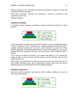 Ecologia – conceitos fundamentais 23
mülleriano), seja para "dar a impressão" de possuírem esse dispositivo embora na verdade não
o possuam (mimetismo batesiano).
Todas essas associações contribuem para determinar o caráter da comunidade e dos
organismos que nela vivem.
Pirâmides Ecológicas
PIRÂMIDE DE ENERGIA
A pirâmide de energia expressa a quantidade de energia acumulada em cada nível da cadeia
alimentar.
C2º - criança 8,3 kcal
C1º - bezerro 1.190 kcal
P - alfafa 14.900 kcal
O fluxo decrescente de energia da cadeia alimentar justifica o fato de a pirâmide apresentar
o vértice voltado para cima. O comprimento do retângulo (tamanho das palavras) indica o
conteúdo energético presente em cada elo da cadeia. Estima-se que cada nível trófico
transfira apenas 10% da capacidade energética para o nível trófico seguinte, por isso, que uma
pirâmide dificilmente apresentara mais que cinco níveis tróficos. Assim, podemos presumir o
seguinte:
Se em uma área de plantio que durante o ano alimenta 100 pessoas, se for utilizada para
engorda do gado, o numero de gado, será tão pequeno, que não alimentara mais que cinco
pessoas durante o ano..
Vemos então, que a quantidade de energia que se perdeu de um nível trófico para outro foi
muito grande. Concluímos assim, que os consumidores primários estão muito mais servido
energeticamente que os demais níveis tróficos da pirâmide energética.
PIRÂMIDE DE BIOMASSA
Este tipo de gráfico expressa a quantidade de matéria orgânica acumulada em cada nível
trófico da cadeia alimentar.
C2º - homem 80kg
C1º - bezerro 250kg
P - feno 1T
 