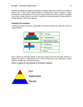 Ecologia – conceitos fundamentais 24
Sabemos que apenas uma pequena quantidade de biomassa adquirida é utilizada na formação de
matéria viva. A maior parte dessa biomassa é utilizada como fonte de energia e depois
eliminada para o meio ambiente na forma de resíduos respiratórios (CO2 e H2O) e excreções
(como urina e fezes). Como no caso anterior (pirâmide de energia) apenas 10% dessa matéria é
transferida para o nível trófico seguinte.
PIRÂMIDE DOS NÚMEROS
A pirâmide de número expressa a quantidade de indivíduos presente em cada nível trófico da
cadeia alimentar.
C2º - 30 sapos
C1º - 700 gafanhotos
P - 5.000 plantas de capim
C2º - 20 pássaros
C1º - 700 lagartas
P - 1 árvore
Como o número de indivíduos diminui ao longo dos sucessivos elos de uma cadeia alimentar, a
pirâmide de numero é representada com o vértice voltado para cima. Entretanto, existem
inúmeros exemplos que contrariam esse fato.
Outros exemplos de representação de Pirâmides ecológicas
:
 