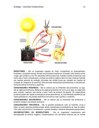 Ecologia – conceitos fundamentais 26
PRODUTORES - São os organismos capazes de fazer fotossíntese ou quimiossíntese.
Produzem e acumulam energia através de processos bioquímicos utilizando como matéria prima
a água, gás carbônico e luz. Em ambientes afóticos (sem luz), também existem produtores, mas
neste caso a fonte utilizada para a síntese de matéria orgânica não é luz mas a energia liberada
nas reações químicas de oxidação efetuadas nas células (como por exemplo em reações de
oxidação de compostos de enxofre). Este processo denominado quimiossíntese é realizado por
muitas bactérias terrestres e aquáticas.
CONSUMIDORES PRIMÁRIOS - São os animais que se alimentam dos produtores, ou seja,
são as espécies herbívoras. Milhares de espécies presentes em terra ou na água, se adaptaram
para consumir vegetais, sem dúvida a maior fonte de alimento do planeta. Os consumidores
primários podem ser desde microscópicas larvas planctônicas, ou invertebrados bentônicos (de
fundo) pastadores, até grandes mamíferos terrestres como a girafa e o elefante.
CONSUMIDORES SECUNDÁRIOS - São os animais que se alimentam dos herbívoros, a
primeira categoria de animais carnívoros.
CONSUMIDORES TERCIÁRIOS - São os grandes predadores como os tubarões, orcas e
leões, os quais capturam grandes presas, sendo considerados os predadores de topo de cadeia.
Tem como característica, normalmente, o grande tamanho e menores densidades populacionais.
DECOMPOSITORES OU BIOREDUTORES - São os organismos responsáveis pela
decomposição da matéria orgânica, transformando-a em nutrientes minerais que se tornam
 