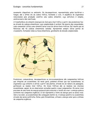 Ecologia – conceitos fundamentais 27
novamente disponíveis no ambiente. Os decompositores, representados pelas bactérias e
fungos, são o último elo da cadeia trófica, fechando o ciclo. A seqüência de organismos
relacionados pela predação constitui uma cadeia alimentar, cuja estrutura é simples,
unidirecional e não ramificada.
A transferência do alimento (energia) de nível para nível trófico a partir dos produtores faz-
se através de cadeias alimentares, cuja complexidade é variável. Na maioria das comunidades,
cada consumidor utiliza como alimento seres vivos de vários níveis tróficos. Daí resulta que na
Natureza não há cadeias alimentares isoladas. Apresentam sempre vários pontos de
cruzamento, formando redes ou teias alimentares, geralmente de elevada complexidade.
Produtores, consumidores, decompositores ou microconsumidores são componentes bióticos
que integram um ecossistema. De modo geral, podemos afirmar que nos ecossistemas, os
organismos cujo alimento é obtido a partir das plantas, através de um número de passagens,
pertencem ao mesmo nível trófico. Os níveis tróficos são os mesmos nos diversos
ecossistemas, apesar de se observarem variações quanto a seus componentes. Os seres vivos
precisam de uma fonte de energia potencial para executar a tarefa de viver: a energia química
existente nos compostos orgânicos. O Sol representa a fonte de energia para os seres vivos.
Sem a luz solar, os ecossistemas não conseguem manter-se. A energia penetra no ecossistema
através dos seres autótrofos. Estes, pela fotossíntese, utilizam a energia solar para a síntese
de compostos orgânicos.
 