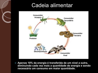  Apenas 10% da energia é transferida de um nível a outro,
diminuindo cada vez mais a quantidade de energia e sendo
necessário um consumo em maior quantidade.
Cadeia alimentar
 