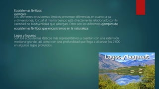Ecosistemas lénticos:
ejemplos
Los diferentes ecosistemas lénticos presentan diferencias en cuanto a su
y dimensiones, lo cual al mismo tiempo está directamente relacionado con la
cantidad de biodiversidad que albergan. Estos son los diferentes ejemplos de
ecosistemas lénticos que encontramos en la naturaleza:
Lagos y lagunas
Son los ecosistemas lénticos más representativos y cuentan con una extensión
mediana-grande, así como con una profundidad que llega a alcanzar los 2.000
en algunos lagos profundos.
 