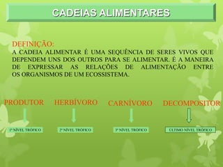 CADEIAS ALIMENTARES
DEFINIÇÃO:
A CADEIA ALIMENTAR É UMA SEQUÊNCIA DE SERES VIVOS QUE
DEPENDEM UNS DOS OUTROS PARA SE ALIMENTAR. É A MANEIRA
DE EXPRESSAR AS RELAÇÕES DE ALIMENTAÇÃO ENTRE
OS ORGANISMOS DE UM ECOSSISTEMA.
PRODUTOR HERBÍVORO CARNÍVORO DECOMPOSITOR
1º NÍVEL TRÓFICO 2º NÍVEL TRÓFICO 3º NÍVEL TRÓFICO ÚLTIMO NÍVEL TRÓFICO
 