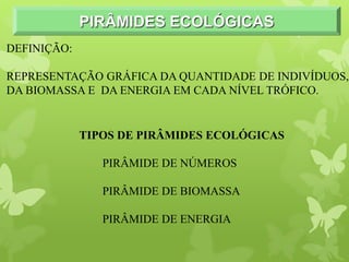 PIRÂMIDES ECOLÓGICAS
DEFINIÇÃO:
REPRESENTAÇÃO GRÁFICA DA QUANTIDADE DE INDIVÍDUOS,
DA BIOMASSA E DA ENERGIA EM CADA NÍVEL TRÓFICO.
TIPOS DE PIRÂMIDES ECOLÓGICAS
PIRÂMIDE DE NÚMEROS
PIRÂMIDE DE BIOMASSA
PIRÂMIDE DE ENERGIA
 