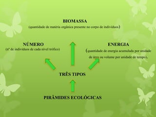 PIRÂMIDES ECOLÓGICAS
TRÊS TIPOS
NÚMERO
(nº de indivíduos de cada nível trófico)
BIOMASSA
(quantidade de matéria orgânica presente no corpo de indivíduos)
ENERGIA
(quantidade de energia acumulada por unidade
de área ou volume por unidade de tempo).
 