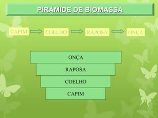 PIRÂMIDE DE BIOMASSA
CAPIM COELHO RAPOSA ONÇA
CAPIM
COELHO
RAPOSA
ONÇA
 