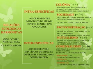 RELAÇÕES
ECOLÓGICAS
HARMÔNICAS
(NÃO OCORRE
PREJUÍZO PARA
OS ENVOLVIDOS)
INTER-ESPECÍFICAS
(OCORREM ENTRE
INDIVÍDUOS DE ESPÉCIES
DIFERENTES, DENTRO DAS
COMUNIDADES)
INTRA-ESPECÍFICAS
(OCORREM ENTRE
INDIVÍDUOS DA MESMA
ESPÉCIE, DENTRO DAS
POPULAÇÕES)
COLÔNIA ( + / +)
(INDIVÍDUOS UNIDOS ANATOMICAMENTE,
DIVIDINDO OU NÃO FUNÇÕES)
EX: BACTÉRIAS, ESPONJAS, CORAIS, CRACAS
SOCIEDADE (+ / +)
(INDIVÍDUOS NÃO UNIDOS ANATOMICAMENTE,
ORGANIZADOS COOPERATIVAMNETE)
EX: ABELHAS, VESPAS, CUPINS, FORMIGAS
PROTOCOOPERAÇÃO (+ / +)
(BENEFÍCIOS MÚTUOS ONDE AASSOCIAÇÃO
NÃO É OBRIGATÓRIA)
EX: CROCODILO-PÁSSARO PALITO, ANU-GADO
MUTUALISMO (+ / +)
(BENEFÍCIOS MÚTUOS ONDE AASSOCIAÇÃO É
OBRIGATÓRIA ENTRE OS INDIVÍDUOS)
EX: LÍQUENS, RUMINANTES E BACTÉRIAS
COMENSALISMO (+ / 0)
(ORGANISMO SE ALIMENTA DE RESTOS ALIMEN-
TARES DE OUTRO)
EX: HIENA E LEÃO, TUBARÃO E RÊMORA
INQUILINISMO (+ / 0)
EX: HOLOTÚRIA/ PEIXE PALITO
FORESIA (+/0)
EX: PÁSSARO/ VEGETAL
EPIFITISMO (+/0)
EX: EPIFITISMO(ORQUÍDEAS E BROMÉLIAS)
 