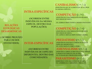 RELAÇÕES
ECOLÓGICAS
DESARMÔNICAS
( OCORRE PREJUÍZO
PARA UM DOS
ENVOLVIDOS) INTER-ESPECÍFICAS
(OCORREM ENTRE
INDIVÍDUOS DE ESPÉCIES
DIFERENTES, DENTRO DAS
COMUNIDADES)
INTRA-ESPECÍFICAS
(OCORREM ENTRE
INDIVÍDUOS DA MESMA
ESPÉCIE, DENTRO DAS
POPULAÇÕES)
CANIBALISMO ( + / -)
(INDIVÍDUOS QUE SE ALIMENTAM DE OUTROS
DA MESMA ESPÉCIE.)
COMPETIÇÃO (- /+)
(INDIVÍDUOS CONCORREM PELOS MESMOS
RECURSOS DO MEIO.)
EX: ZEBRAS DISPUTANDO A MESMA PASTAGEM
COMPETIÇÃO (- / +)
(INDIVÍDUOS CONCORREM PELOS MESMOS
RECURSOS DO MEIO.)
EX: LEÕES E HIENAS DISPUTANDO A ZEBRA
PREDATISMO (+ / -)
(INDIVÍDUOS MATAM E COMEM OUTROS DE
ESPÉCIES DIFERENTES.)
EX: LEÃO MATA E COME A ZEBRA
AMENSALISMO (+ / -)
(INDIVÍDUO LIBERA SUBSTÂNCIA QUE IMPEDE
O DESENVOLVIMENTO DE OUTRO.)
EX: FUNGOS QUE PRODUZEM ANTIBIÓTICOS
PARASITISMO (+ / -)
(INDIVÍDUO VIVE ÀS CUSTAS DE OUTRO,)
EX: LOMBRIGAS, CARRAPATO, VÍRUS, ETC
 