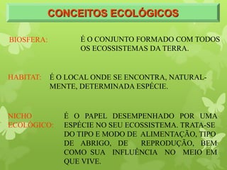 CONCEITOS ECOLÓGICOS
HABITAT: É O LOCAL ONDE SE ENCONTRA, NATURAL-
MENTE, DETERMINADA ESPÉCIE.
NICHO
ECOLÓGICO:
É O PAPEL DESEMPENHADO POR UMA
ESPÉCIE NO SEU ECOSSISTEMA. TRATA-SE
DO TIPO E MODO DE ALIMENTAÇÃO, TIPO
DE ABRIGO, DE REPRODUÇÃO, BEM
COMO SUA INFLUÊNCIA NO MEIO EM
QUE VIVE.
É O CONJUNTO FORMADO COM TODOS
OS ECOSSISTEMAS DA TERRA.
BIOSFERA:
 