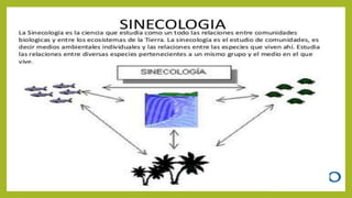 ECOLOGIA.pptx