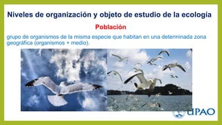 Población
grupo de organismos de la misma especie que habitan en una determinada zona
geográfica (organismos + medio).
Niveles de organización y objeto de estudio de la ecología
 