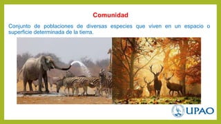 Conjunto de poblaciones de diversas especies que viven en un espacio o
superficie determinada de la tierra.
Comunidad
 
