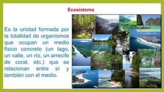 Ecosistema
Es la unidad formada por
la totalidad de organismos
que ocupan un medio
físico concreto (un lago,
un valle, un río, un arrecife
de coral, etc.) que se
relacionan entre sí y
también con el medio.
 