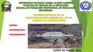 CURSO :
CATEDRÁTICO :
INTEGRANTES :
CERRO DE PASCO - 2023
PRIMER SEMESTRE
 