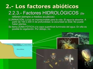 2.- Los factores abióticos
2.2.3.- Factores HIDROLÓGICOS (Se
refieren siempre a medios acuáticos)
ILUMINACIÓN: La luz es imprescindible para la vida. El agua la absorbe. A
partir de 150 ó 200 m de profundidad, la oscuridad es total. No puede
haber plantas.
Se llama ZONA FÓTICA a la capa superficial iluminada del agua. En ella es
posible la vegetación. Por debajo, no.
 