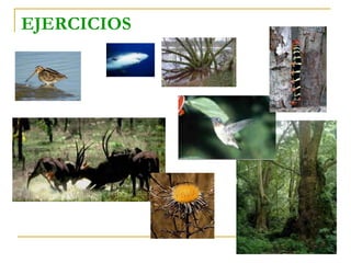 EJERCICIOS
 