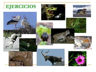 EJERCICIOS
 