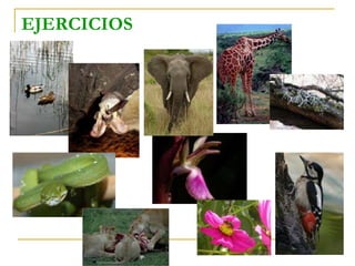 EJERCICIOS
 