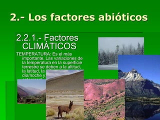 2.- Los factores abióticos
2.2.1.- Factores
CLIMÁTICOS
TEMPERATURA: Es el más
importante. Las variaciones de
la temperatura en la superficie
terrestre se deben a la altitud,
la latitud, la diferencia
día/noche y la diferencia
estacional.
 