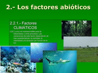 2.- Los factores abióticos
2.2.1.- Factores
CLIMÁTICOS
LUZ: La luz es imprescindible para la
fotosíntesis y otros procesos. Las
variaciones de este factor dependerán de
tres características: la cantidad, la
intensidad y la duración (en horas) de la
luz.
 