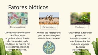Fatores bióticos
Decompositores Consumidores Produtores
Conhecidos também como
saprófitos, esses
organismos heterótrofos
são responsáveis pela
reciclagem de matéria nos
ecossistemas, incluindo
fungos e bactérias.
Animais são heterótrofos,
pois retiram energia e
matéria de outros seres
vivos.
Organismos autotróficos
podem ser
fotossintetizantes ou
quimiossintetizantes,
incluindo vegetais,
bactérias
fotossintetizantes,
bactérias
 