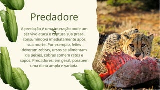 A predação é uma interação onde um
ser vivo ataca e captura sua presa,
consumindo-a imediatamente após
sua morte. Por exemplo, leões
devoram zebras, ursos se alimentam
de peixes, cobras comem ratos e
sapos. Predadores, em geral, possuem
uma dieta ampla e variada.
Predadore
s
 