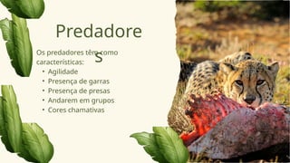 Os predadores têm como
características:
• Agilidade
• Presença de garras
• Presença de presas
• Andarem em grupos
• Cores chamativas
Predadore
s
 