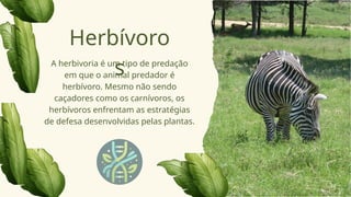 A herbivoria é um tipo de predação
em que o animal predador é
herbívoro. Mesmo não sendo
caçadores como os carnívoros, os
herbívoros enfrentam as estratégias
de defesa desenvolvidas pelas plantas.
Herbívoro
s
 