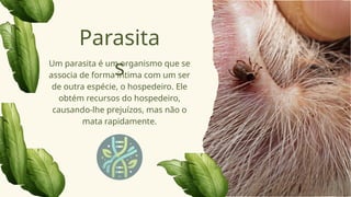 Um parasita é um organismo que se
associa de forma íntima com um ser
de outra espécie, o hospedeiro. Ele
obtém recursos do hospedeiro,
causando-lhe prejuízos, mas não o
mata rapidamente.
Parasita
s
 