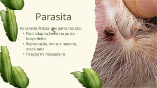 As características dos parasitas são:
• Fácil adaptação ao corpo do
hospedeiro
• Reprodução, em sua maioria,
assexuada
• Fixação no hospedeiro
Parasita
s
 