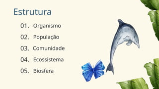 Estrutura
01.
04.
02.
03.
Organismo
Comunidade
População
Ecossistema
Biosfera
02.
03.
04.
05.
 