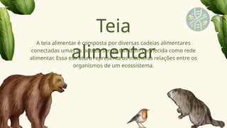 Teia
alimentar
A teia alimentar é composta por diversas cadeias alimentares
conectadas umas às outras, sendo também conhecida como rede
alimentar. Essa estrutura representa as inúmeras relações entre os
organismos de um ecossistema.
 