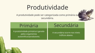 Produtividade
A produtividade pode ser categorizada como primária ou
secundária.
Primária
A produtividade primária é gerada
pelos organismos
autotróficos/produtores.
Secundária
A secundária ocorre nos níveis
tróficos abaixo.
 