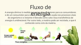 Fluxo de
energia
A energia diminui à medida que passa dos produtores para os consumidores
e de um consumidor para outro, pois parte dela é usada nos processos vitais
do organismo e o restante é liberado como calor. Essa transferência de
energia é unidirecional. Por outro lado, a matéria pode ser reciclada, o que é
conhecido como ciclo da matéria.
 