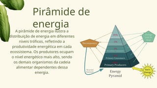 Pirâmide de
energia
A pirâmide de energia ilustra a
distribuição de energia em diferentes
níveis tróficos, refletindo a
produtividade energética em cada
ecossistema. Os produtores ocupam
o nível energético mais alto, sendo
os demais organismos da cadeia
alimentar dependentes dessa
energia.
 