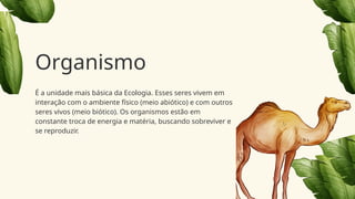 É a unidade mais básica da Ecologia. Esses seres vivem em
interação com o ambiente físico (meio abiótico) e com outros
seres vivos (meio biótico). Os organismos estão em
constante troca de energia e matéria, buscando sobreviver e
se reproduzir.
Organismo
 