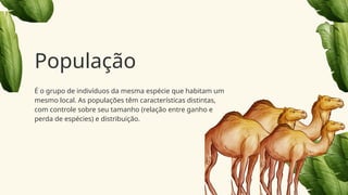 É o grupo de indivíduos da mesma espécie que habitam um
mesmo local. As populações têm características distintas,
com controle sobre seu tamanho (relação entre ganho e
perda de espécies) e distribuição.
População
 