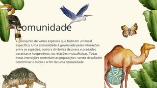 É o conjunto de várias espécies que habitam um local
específico. Uma comunidade é governada pelas interações
entre as espécies, como a dinâmica de presa e predador,
parasitas e hospedeiros, ou relações mutualísticas. Todas
essas interações controlam as populações, sendo desafiador
determinar o início e o fim de uma comunidade.
Comunidade
 