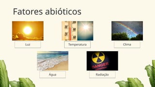 Fatores abióticos
Luz
Água
Temperatura
Radiação
Clima
 